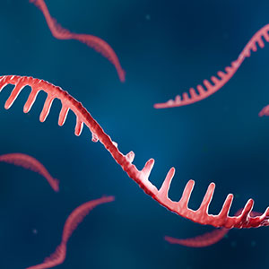 Oligonucleotides Services