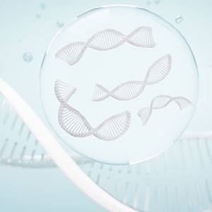 DNA/RNA Modification Service