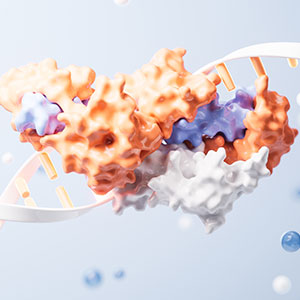 In Vitro Transcription Service