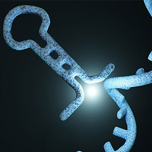 RNA Interference(RNAi) Service