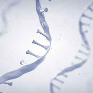 RNA Drug Delivery System