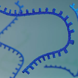 Oligo Analysis & Purification