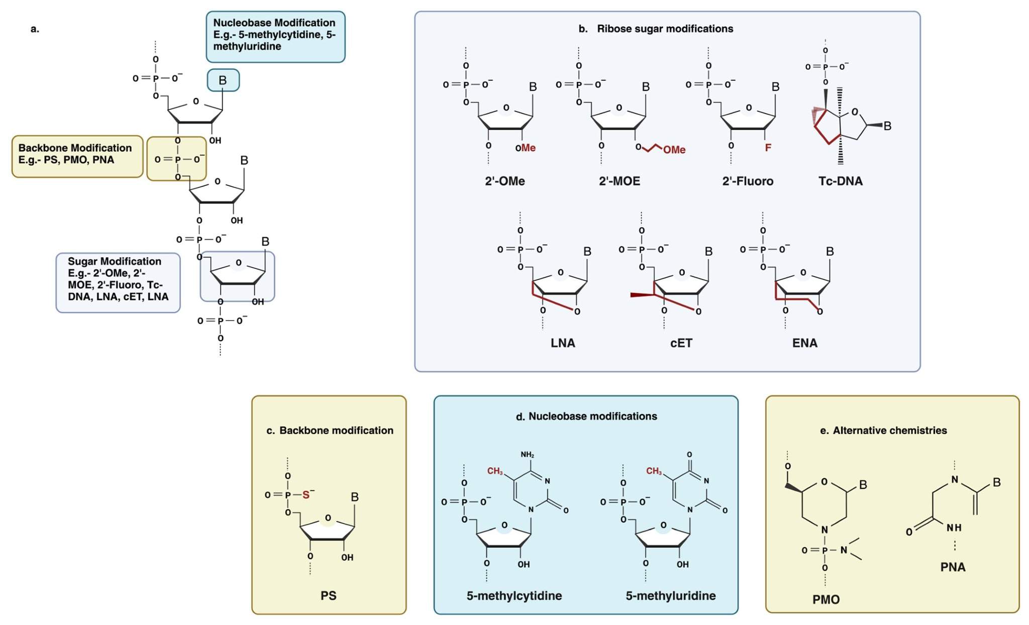 Some common chemical modifications used in antisense oligonucleotide chemistry