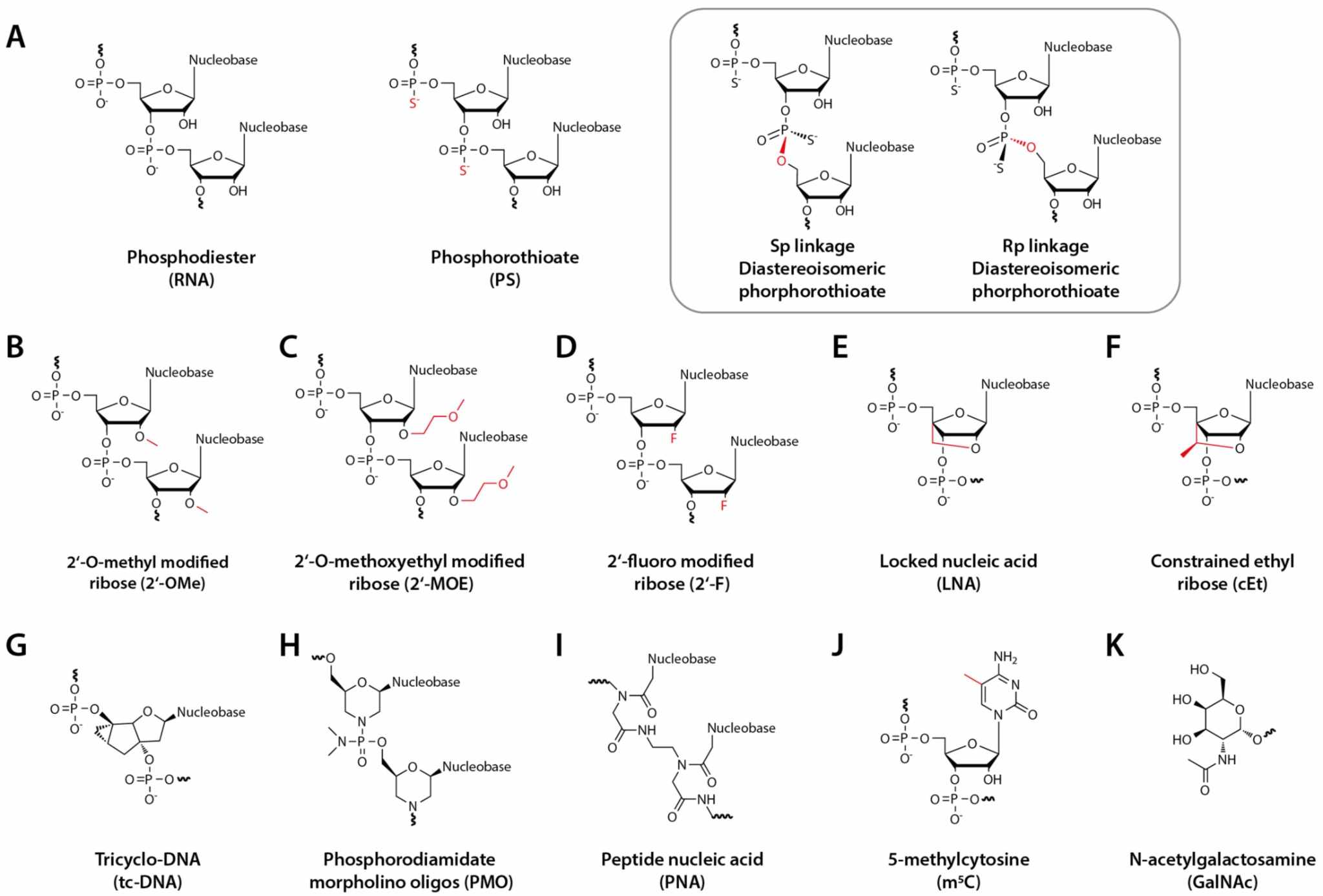 Structures of AON chemical modifications and the GalNAc conjugate