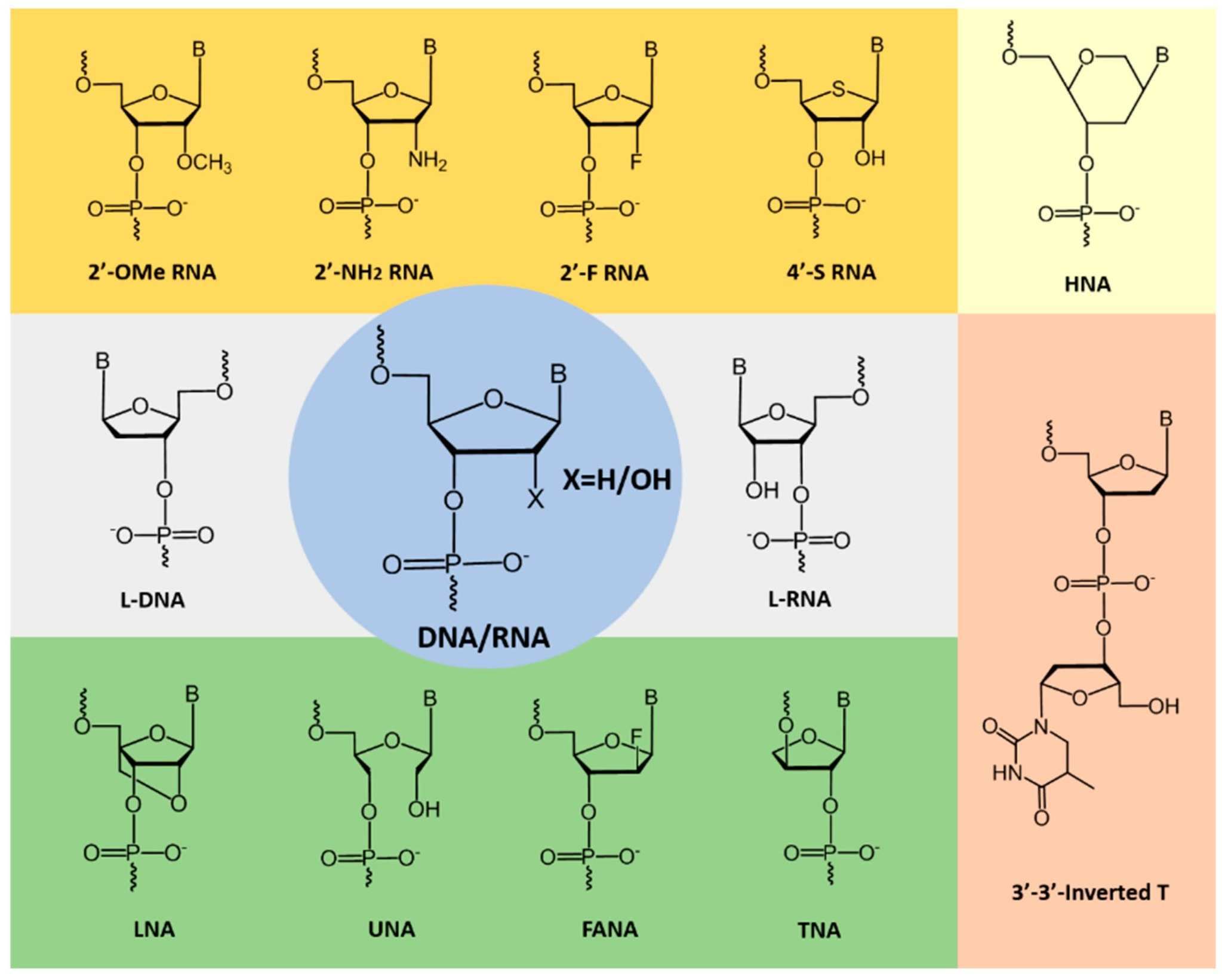 Examples of chemically-modified nucleotides used to improve aptamer stability and kinetics
