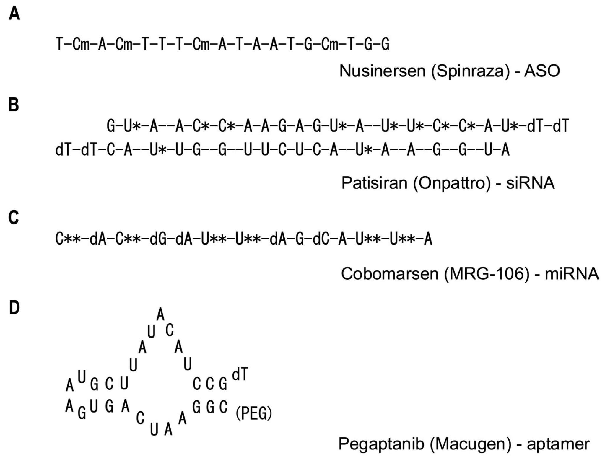 Structural representations of representative API molecules for ASO, siRNA, miRNA, and aptamer-based therapeutics