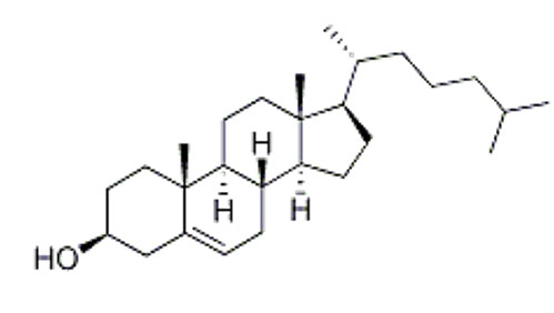 Cholesterol