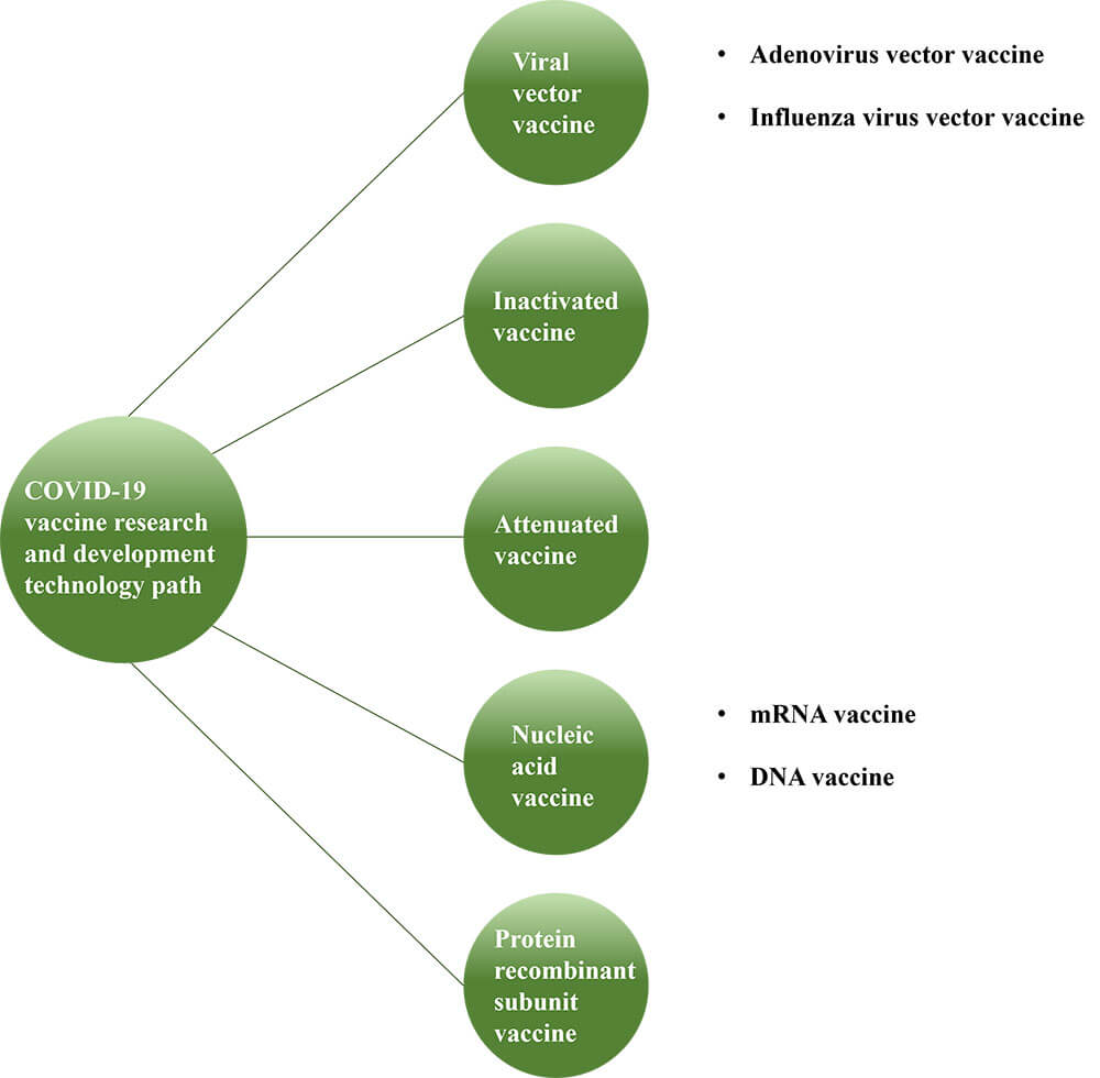 5 research and development technology paths for the COVID-19 ;vaccine