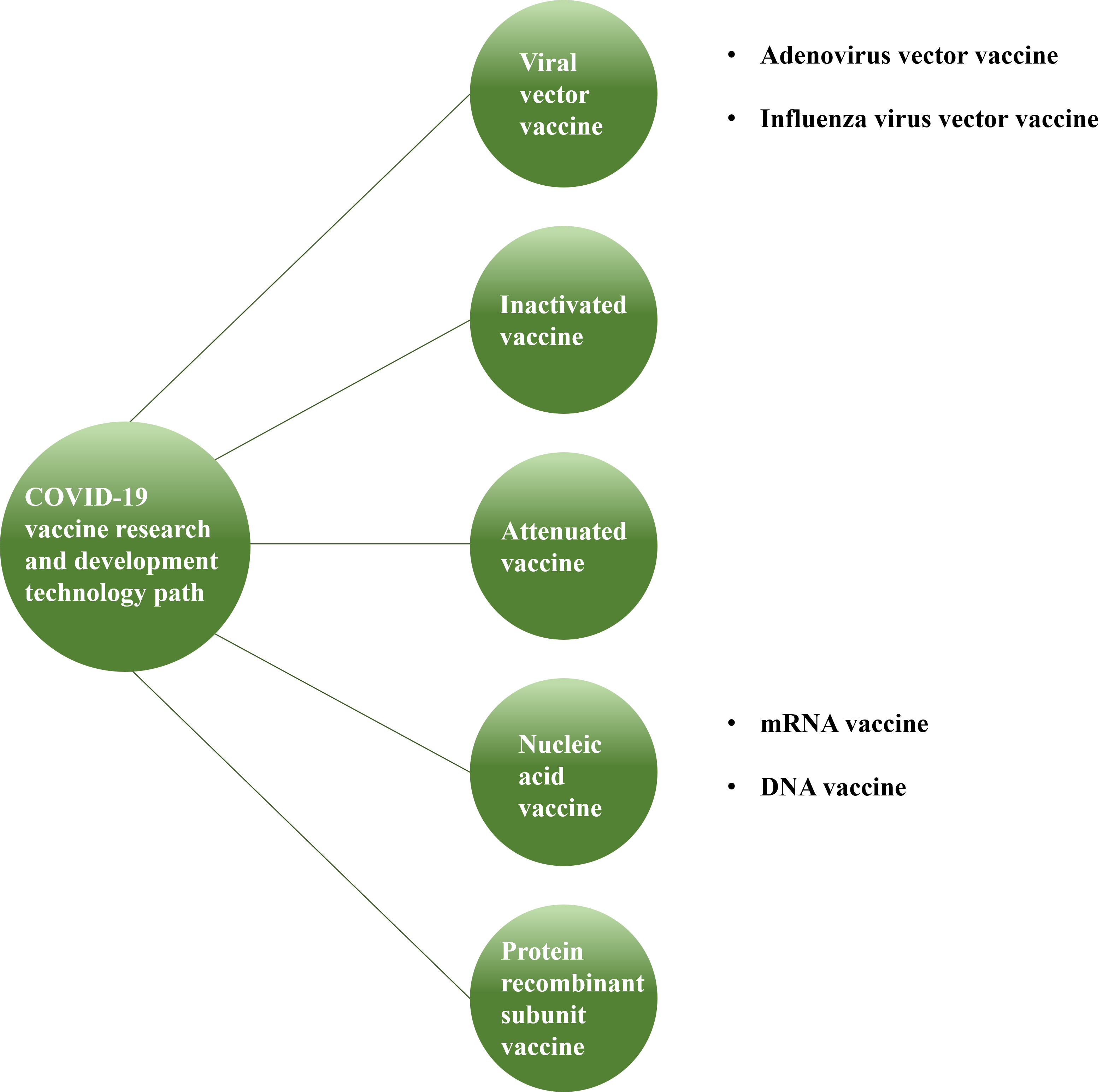 5 research and development technology paths for the COVID-19 vaccine