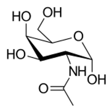 The structure of GalNAc (CAS No. 1811-31-0)