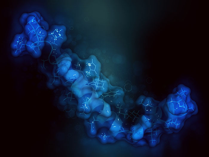 peptide 3D illustration