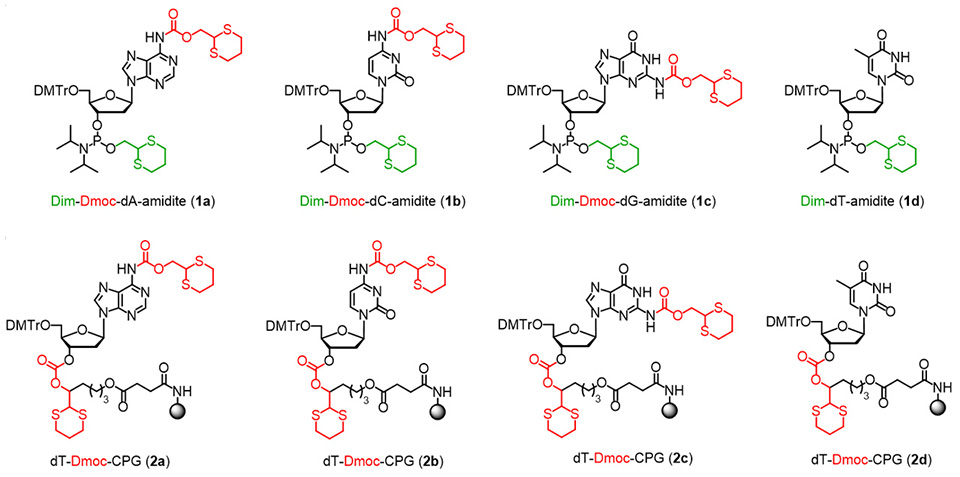 Sensitive DNA/RNA Synthesis