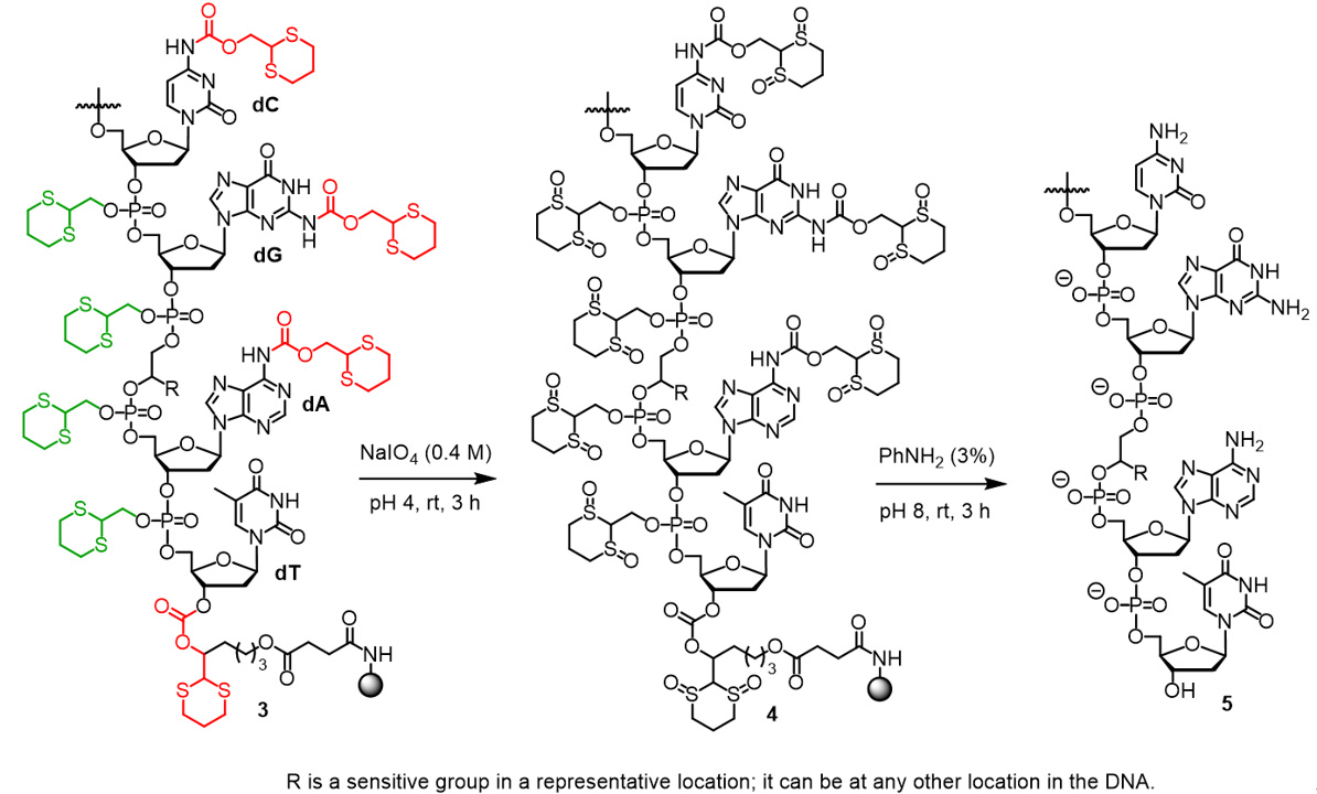 Sensitive DNA/RNA Synthesis