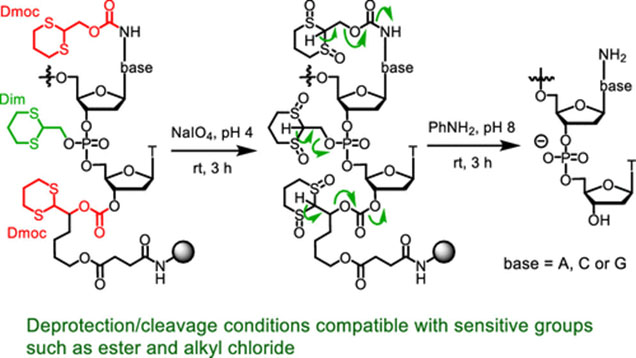 Sensitive DNA/RNA Synthesis Platform