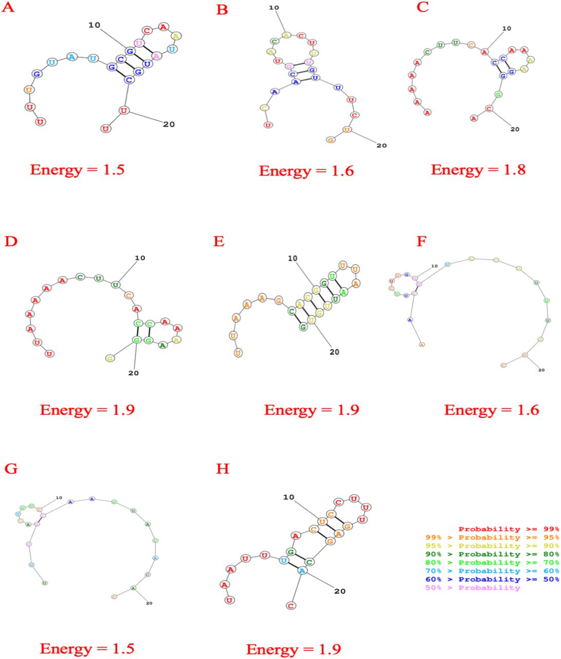 Secondary structures of best eight predicted siRNA with possible folding and minimum free energy for consensus sequence.