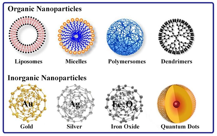  Scheme showing the different types of nanoparticles used in drug delivery for the treatment of the various types of cancers (Rasha Itani. 2019).